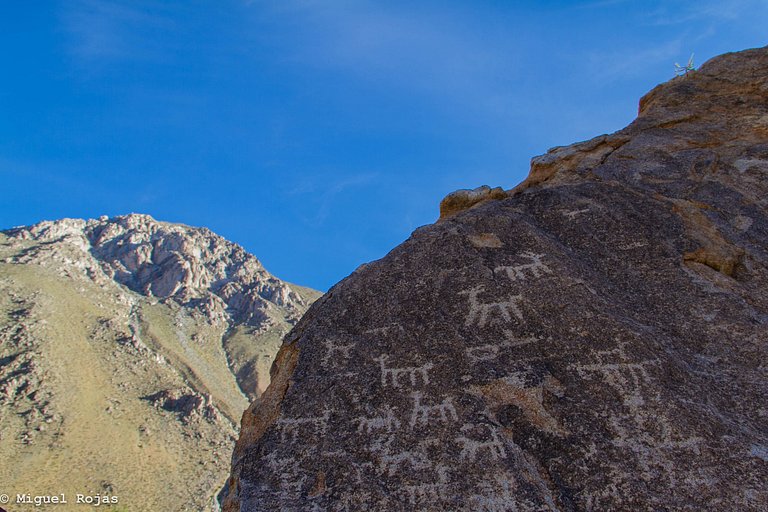 Hermoso Refugio de Montaña (El nogal)