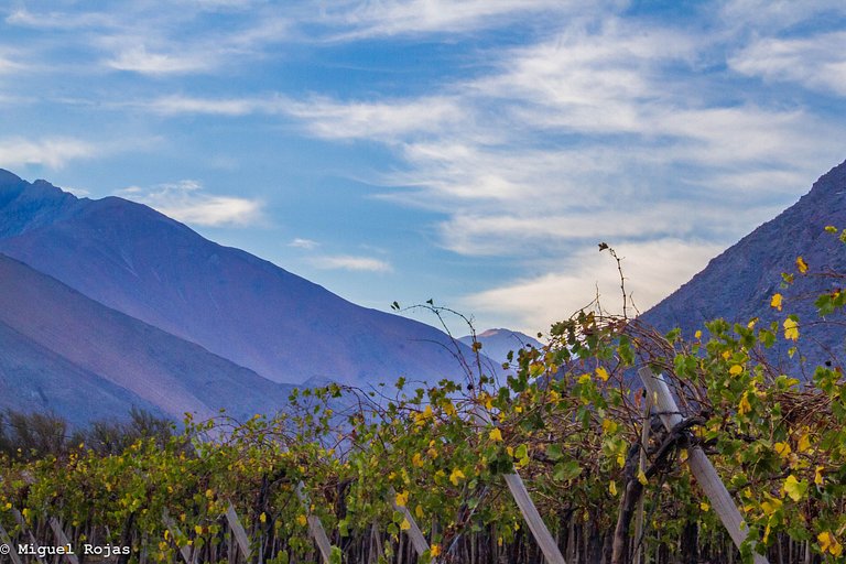 Refugio Rinconada Lodge